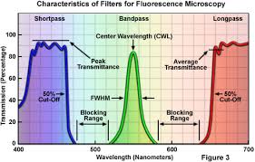 Zeiss Microscopy Online Campus Microscopy Basics