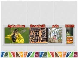 Un plan de afaceri bun este o schema de actiuni construita logic care presupune o gandire de perspectiva asupra afacerii, cuprinzand toate. Ppt Apicultura Powerpoint Presentation Free Download Id 4830317