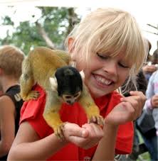 Und das ist nur eine winzige auswahl: Affen Vogelpark Eckenhagen Koln Freizeitparks Koln Koeln De