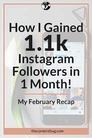 How I Gained 1 1k Instagram Followers In 1 Month Thecontentbug Gain Instagram Followers 1000 Followers Instagram Instagram Followers