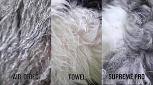 Download wallpaper 1920x1080 others, hd images, backgrounds, photos and pictures for desktop,pc,android,iphones. Siccaro Supreme Pro Absorbent Dog Robe Test 1080 En Youtube