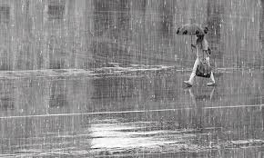 Animated Gifs Of Rain Rain Animation Animation Rain Photo