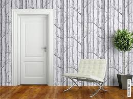 Tronc De Bouleau Papiers Peints Pixers Papier Peint Arbre Bouleau Papier Peint Arbre Papier Peint Fond D Ecran Bouleau