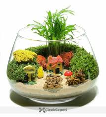 40 Inspiring Bonsai Terrarium Jars Design Ideas To Try Succulentterrarium Here Are Few Basic Bonsai Tips To Get You Terrarium Jar Terrarium Terrarium Plants