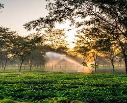 Two of the most important pilgrimage sites for hindus are also found in uttar pradesh: Visiting Assam Here Are The Top 5 Destinations You Must Visit