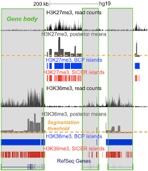 A very useful method for chromatin analysis is chromatin immunoprecipitation (chip), which allows the quantification and localization of specific histone modifications. Plos Computational Biology Genome Wide Localization Of Protein Dna Binding And Histone Modification By A Bayesian Change Point Method With Chip Seq Data