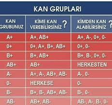 Esra Adli Kullanicinin Faydali Bilgiler Panosundaki Pin