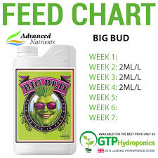 Advanced Nutrients Big Bud Bloom Booster