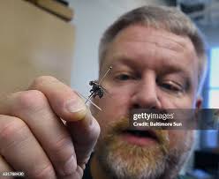 33 Lam How He Stock Photos, High-Res Pictures, and Images