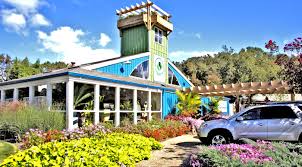 Maybe you would like to learn more about one of these? Plantopia