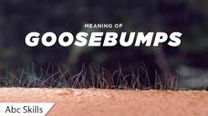 Dictionary thesaurus scrabble examples quiz. Goosebumps Meaning In Hindi Youtube
