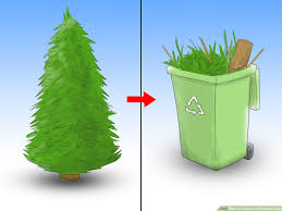 Do you put aspirin in christmas tree water? How To Care For A Christmas Tree 12 Steps With Pictures