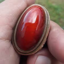 Check spelling or type a new query. Jual Batu Pandan Merah Kab Bekasi Lelo Tokopedia