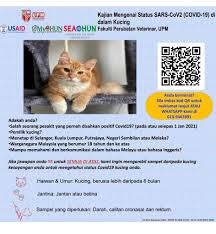 Fakta, jenis, simptom dan cara mencegah. Z Fow4ozid4jvm