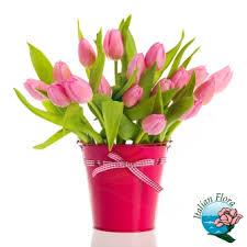 Quali fiori regalare per un compleanno? Fiori Per Compleanno Consegna A Domicilio