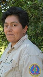 Incendios forestales: las claves del sistema rionegrino de lucha contra el  fuego, en la voz de sus protagonistas