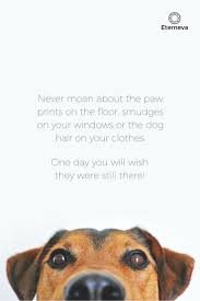 Personalized pet memorial keepsake ornaments, plaques, tealight holders and more by dawn alexandra kokaram. 15 Quotes That Will Make You Want To Hug Your Pet Pets Animal Quotes Dogs