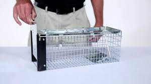 4 carefully set your trap. How To Set Havahart X Small 1 Door Trap Model 0745 For Chipmunks Rats Squirrels Youtube