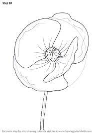 Pin On Painting Poppies