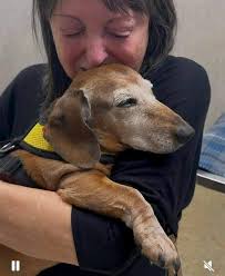 R.I.P. my good friend Marcia Nunns, who passed away this morning from a  long illness. She worked & retired from Special Services @ 177 Colorado  blvd in Pasadena, Through her career she