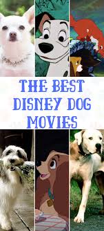 Pin On Pixie Dust Savings Best Of