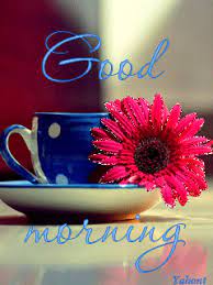 Check spelling or type a new query. Beautiful Animated Good Morning My Love Gif Images Good Morning Images Hd Good Morning Gif Good Morning My Love