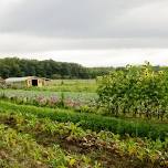 Farm to Picnic