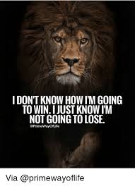 I Don T Know How I M Going To Win I Just Know I M Not Going To Lose Inspiring Quotes About Life Lion Quotes Warrior Quotes