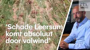 Check spelling or type a new query. Grip 2 Grote Stormschade Na Valwind Leersum 18 06 2021