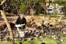 11,520 likes · 493 talking about this. H Kyria Poy Frontizei Ta Zwa Sto Pedion Toy Arews Www Zoosos Grwww Zoosos Gr