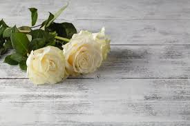 What do the colors of flowers mean? Signs Of Death 11 Symptoms And What To Expect