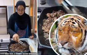 Maybe you would like to learn more about one of these? Video Brand Daging Harimau Menangis Kita Dah Trademark Tau Myipo Minta Ibu Neelofa Jangan Mendahului Keputusan Pihaknya The Reporter