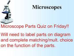 Compound microscope definition labeled diagram parts uses. Microscope Parts And Function