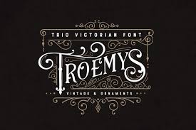 Produces bold typewriter text (but note the lack of a bold typewriter font in the default computer modern fonts), or. Troemys Font Trio And Extras 59218 Display Font Bundles Victorian Fonts Fonts Design Decorative Font