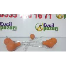 Yavru Guvercin Elle Besleme Pompasi
