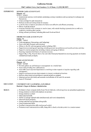 Finding new countries/ new markets( marketing role), fin. Cash Accountant Resume Samples Velvet Jobs