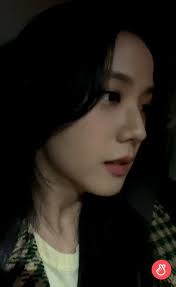 During historical times, an elite group of handsome youths known as hwarang were created by the queen ( kim. ð½ð½ S Tweet This Side Profile Of Jisoo Trendsmap