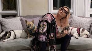 Stefani joanne angelina germanotta), род. Lady Gaga S Two French Bulldogs Have Been Returned Safely Lapd Says Cnn