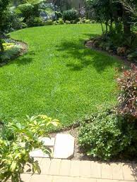 Well Manicured Lawn Not Only Is This Zimbabwe Grass Resilient To Drought And Human Traffic But It Is Also Low Maintenance Requiring Mai Lawn Deck Garden Grass