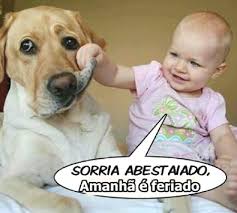 Há 58 dias restantes em 2020. Imgs App Memes Imagens Legais Feriado Baixar