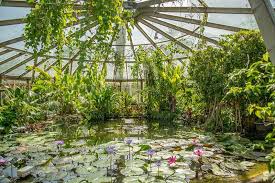 La Serre Tropicale Parc De La Tete D Or A Lyon Jardin Botanique Parc Tropical