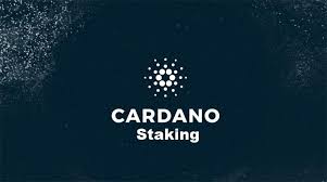 We did not find results for: Cardano Staking What Are The Benefits Cryptopolitan