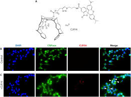 .cvpthe file extension is usually three or more characters appearing in the file name after the dot. The Molecular Tweezer Clr01 Reduces Aggregated Pathologic And Seeding Competent A Synuclein In Experimental Multiple System Atrophy Sciencedirect
