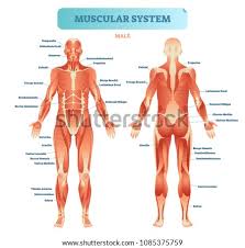 Shutterstock Puzzlepix