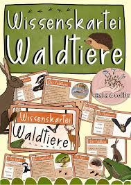 Wissenskartei Waldtiere Texte Fussabdrucke Und Viele Informationen Zu Wildtieren Unterrichtsmaterial Im Fach Sachunterricht Waldtiere Tiere Wilde Tiere