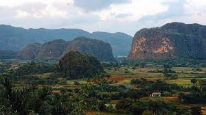 We did not find results for: Ten Fun Facts Reasons Why Vinales Is Worth A Visit Cuba Direct