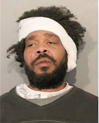 ᐅ Illinois Criminal Records 2009-2026