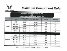 58 particular air force pt scoring