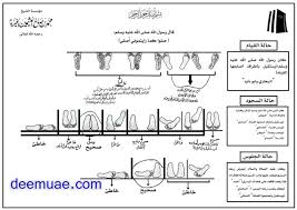 هــام صور توضيحية طريقة الجلوس ووضع اليدين والقدمين في الصلاة ديم الإمارات islamic pictures most popular ted talks how are you feeling
