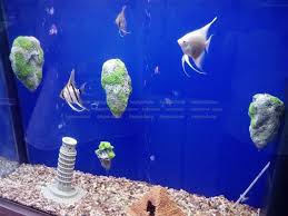 Aquarium Floating Rock Stones Fish Tank Decoration Avatar Moss Plant Landscape Fish Tank Decorations Aquarium Ocean Aquarium